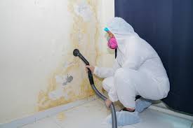 Best Real Estate Mold Inspection  in Tioga, TX